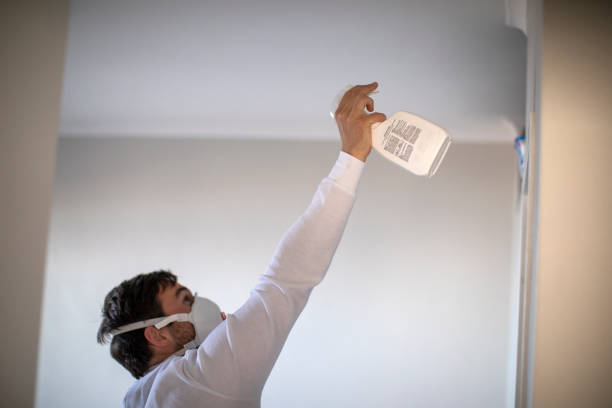 Best Certified Mold Removal  in Marshfield, MO