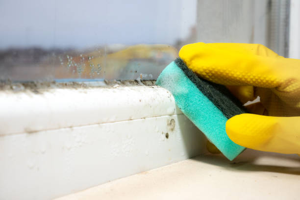 Best Crawl Space Mold Removal  in Marshfield, MO