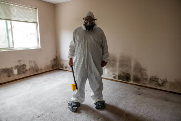 Best Mold Testing and Removal  in Marshfield, MO